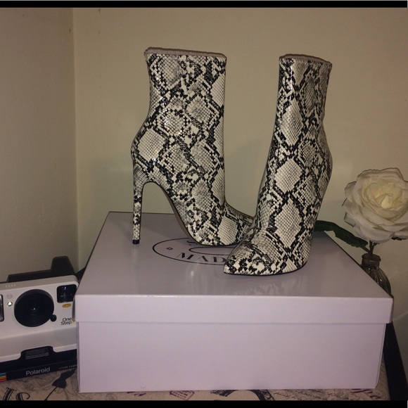 STEVE MADDEN BOOTIES 😍 - Picture 4 of 7